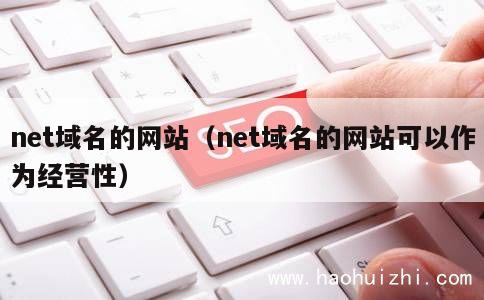 net域名的网站（net域名的网站可以作为经营性） 第1张