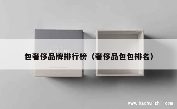 包奢侈品牌排行榜（奢侈品包包排名） 第1张