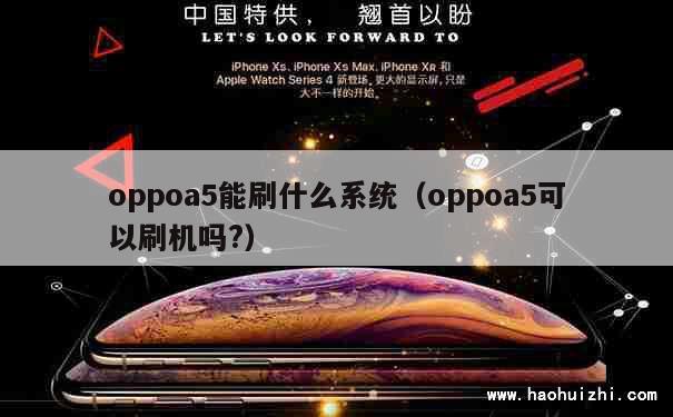 oppoa5能刷什么系统（oppoa5可以刷机吗?） 第1张