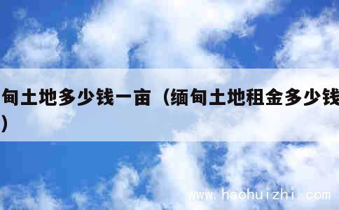 缅甸土地多少钱一亩（缅甸土地租金多少钱一亩） 第1张