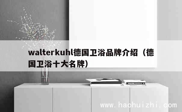 walterkuhl德国卫浴品牌介绍（德国卫浴十大名牌） 第1张