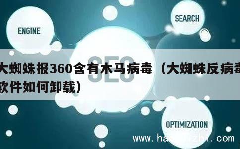 大蜘蛛报360含有木马病毒（大蜘蛛反病毒软件如何卸载） 第1张