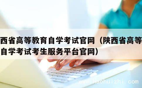 陕西省高等教育自学考试官网（陕西省高等教育自学考试考生服务平台官网） 第1张