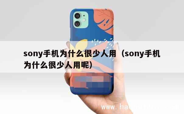 sony手机为什么很少人用（sony手机为什么很少人用呢） 第1张