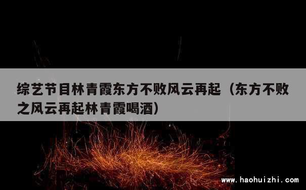 综艺节目林青霞东方不败风云再起（东方不败之风云再起林青霞喝酒） 第1张