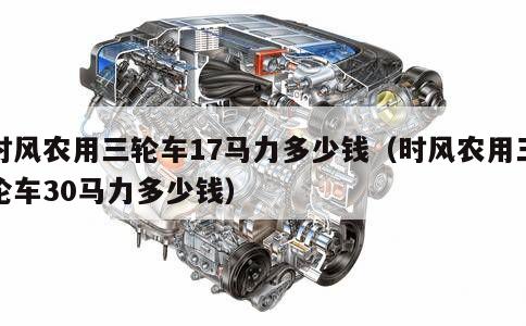 时风农用三轮车17马力多少钱（时风农用三轮车30马力多少钱） 第1张