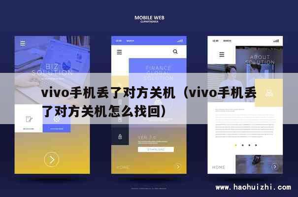 vivo手机丢了对方关机（vivo手机丢了对方关机怎么找回） 第1张