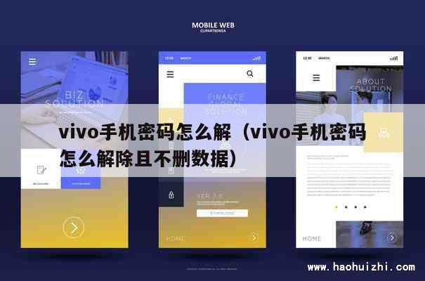 vivo手机密码怎么解（vivo手机密码怎么解除且不删数据） 第1张