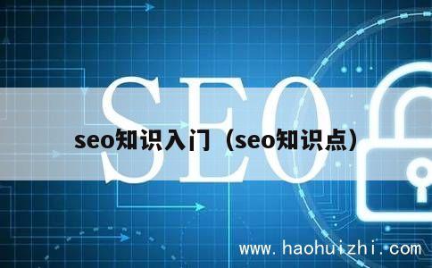 seo知识入门（seo知识点） 第1张