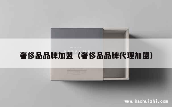 奢侈品品牌加盟（奢侈品品牌代理加盟） 第1张