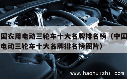 中国农用电动三轮车十大名牌排名榜（中国农用电动三轮车十大名牌排名榜图片） 第1张