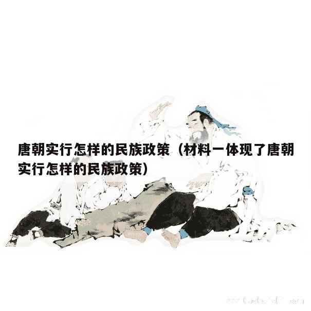 唐朝实行怎样的民族政策（材料一体现了唐朝实行怎样的民族政策） 第1张