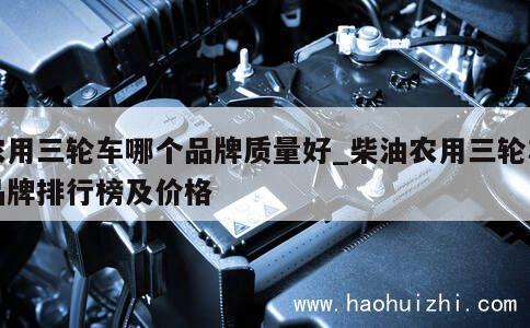 农用三轮车哪个品牌质量好_柴油农用三轮车品牌排行榜及价格 第1张