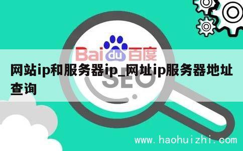 网站ip和服务器ip_网址ip服务器地址查询 第1张