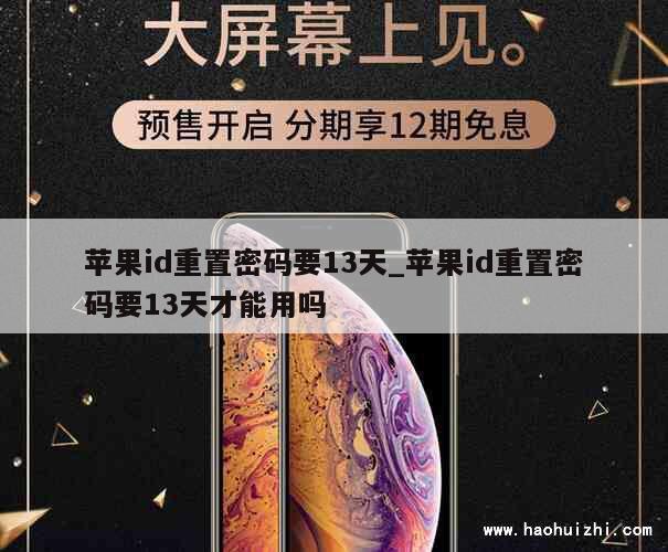 苹果id重置密码要13天_苹果id重置密码要13天才能用吗 第1张