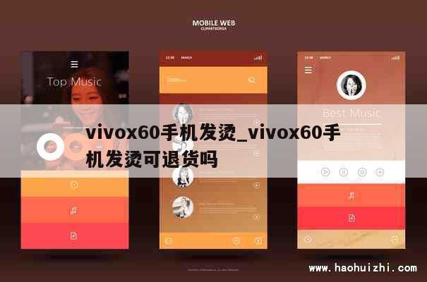 vivox60手机发烫_vivox60手机发烫可退货吗 第1张