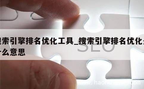 搜索引擎排名优化工具_搜索引擎排名优化是什么意思 第1张