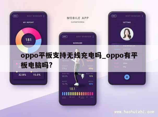 oppo平板支持无线充电吗_oppo有平板电脑吗? 第1张