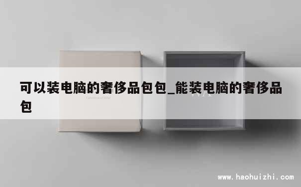 可以装电脑的奢侈品包包_能装电脑的奢侈品包 第1张