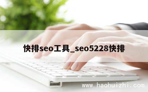 快排seo工具_seo5228快排 第1张