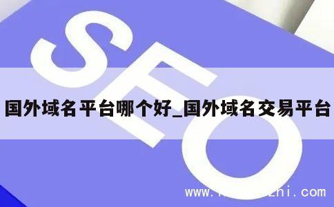 国外域名平台哪个好_国外域名交易平台 第1张