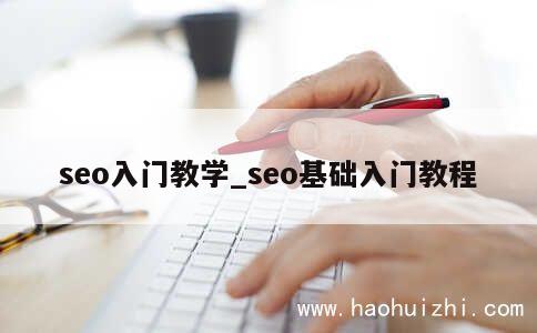 seo入门教学_seo基础入门教程 第1张