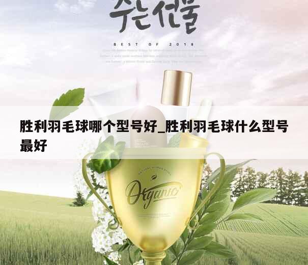 胜利羽毛球哪个型号好_胜利羽毛球什么型号最好 第1张