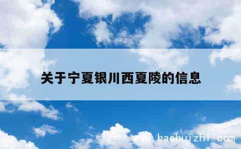 关于宁夏银川西夏陵的信息 第1张