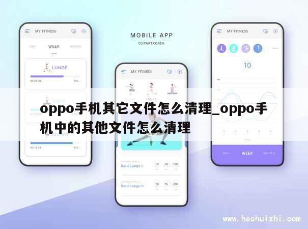 oppo手机其它文件怎么清理_oppo手机中的其他文件怎么清理 第1张