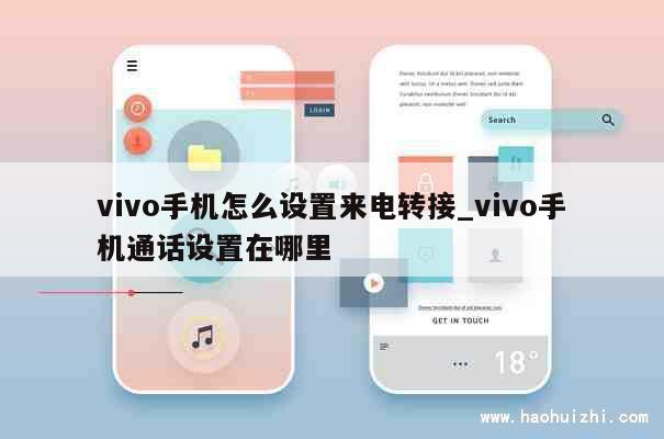 vivo手机怎么设置来电转接_vivo手机通话设置在哪里 第1张