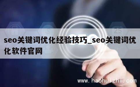 seo关键词优化经验技巧_seo关键词优化软件官网 第1张