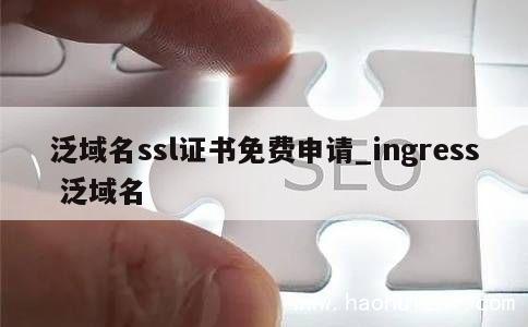 泛域名ssl证书免费申请_ingress 泛域名 第1张