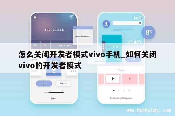 怎么关闭开发者模式vivo手机_如何关闭vivo的开发者模式 第1张