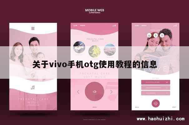 关于vivo手机otg使用教程的信息 第1张