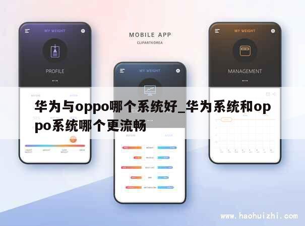 华为与oppo哪个系统好_华为系统和oppo系统哪个更流畅 第1张