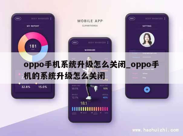 oppo手机系统升级怎么关闭_oppo手机的系统升级怎么关闭 第1张