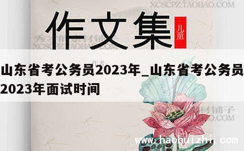 山东省考公务员2023年_山东省考公务员2023年面试时间 第1张