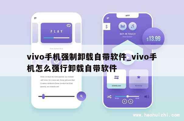 vivo手机强制卸载自带软件_vivo手机怎么强行卸载自带软件 第1张