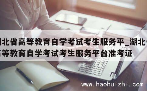 湖北省高等教育自学考试考生服务平_湖北省高等教育自学考试考生服务平台准考证 第1张