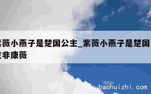 紫薇小燕子是楚国公主_紫薇小燕子是楚国公主非康薇 第1张