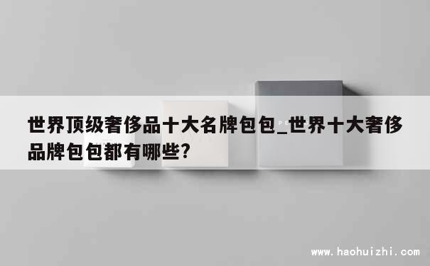 世界顶级奢侈品十大名牌包包_世界十大奢侈品牌包包都有哪些? 第1张