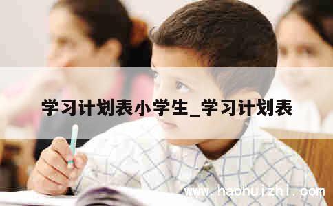 学习计划表小学生_学习计划表 第1张