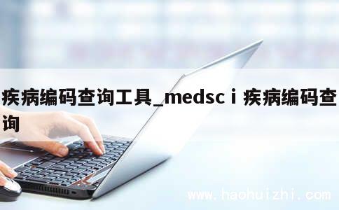 疾病编码查询工具_medscⅰ疾病编码查询 第1张