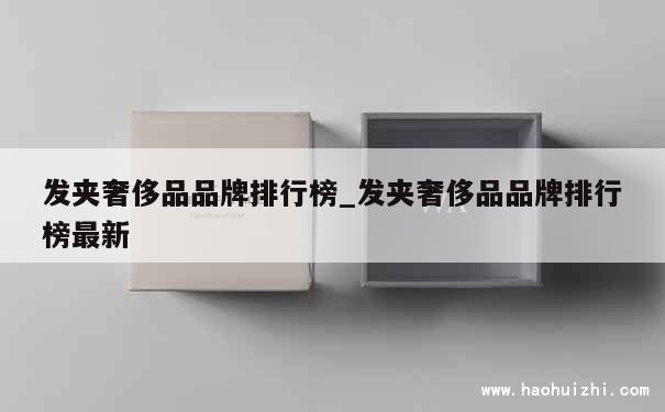 发夹奢侈品品牌排行榜_发夹奢侈品品牌排行榜最新 第1张