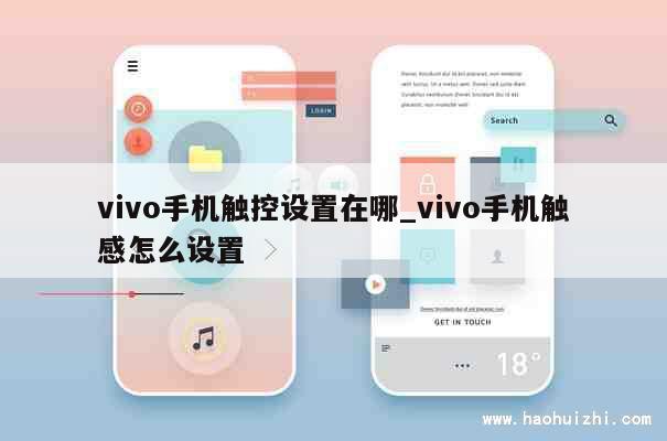 vivo手机触控设置在哪_vivo手机触感怎么设置 第1张