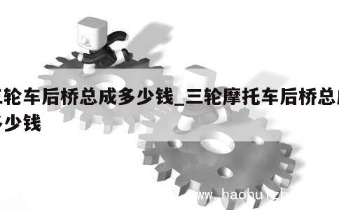 三轮车后桥总成多少钱_三轮摩托车后桥总成多少钱 第1张