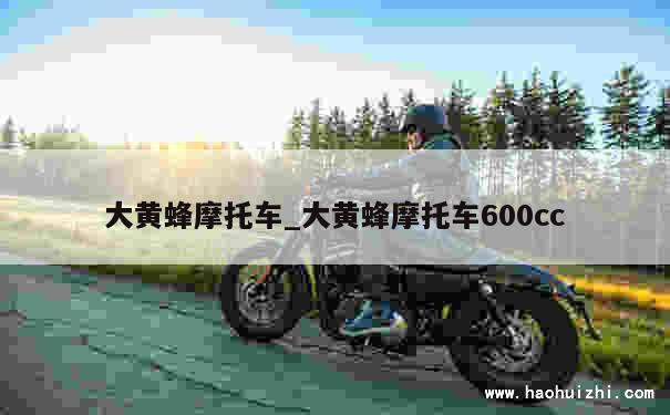 大黄蜂摩托车_大黄蜂摩托车600cc 第1张