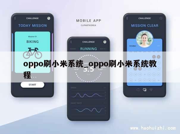 oppo刷小米系统_oppo刷小米系统教程 第1张