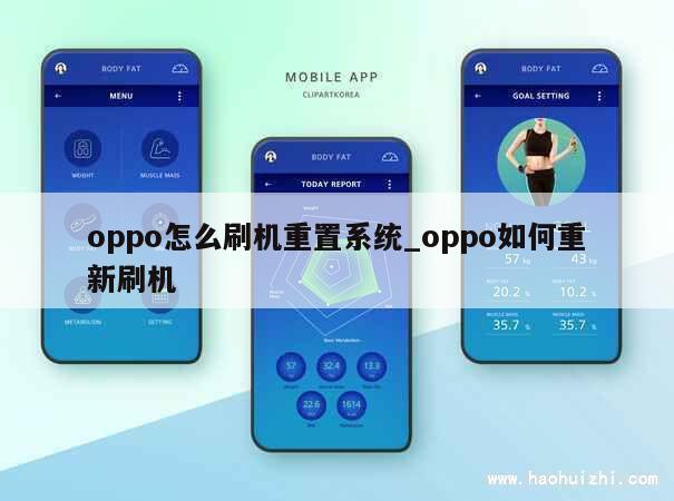 oppo怎么刷机重置系统_oppo如何重新刷机 第1张