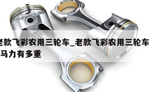 老款飞彩农用三轮车_老款飞彩农用三轮车15马力有多重 第1张